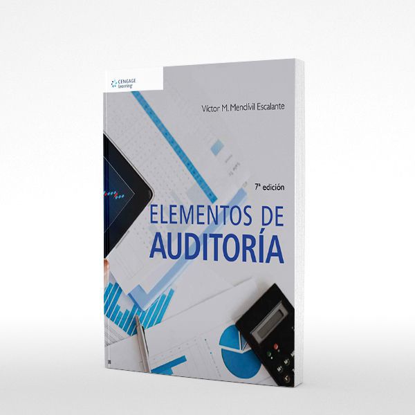 Elementos De Auditoría