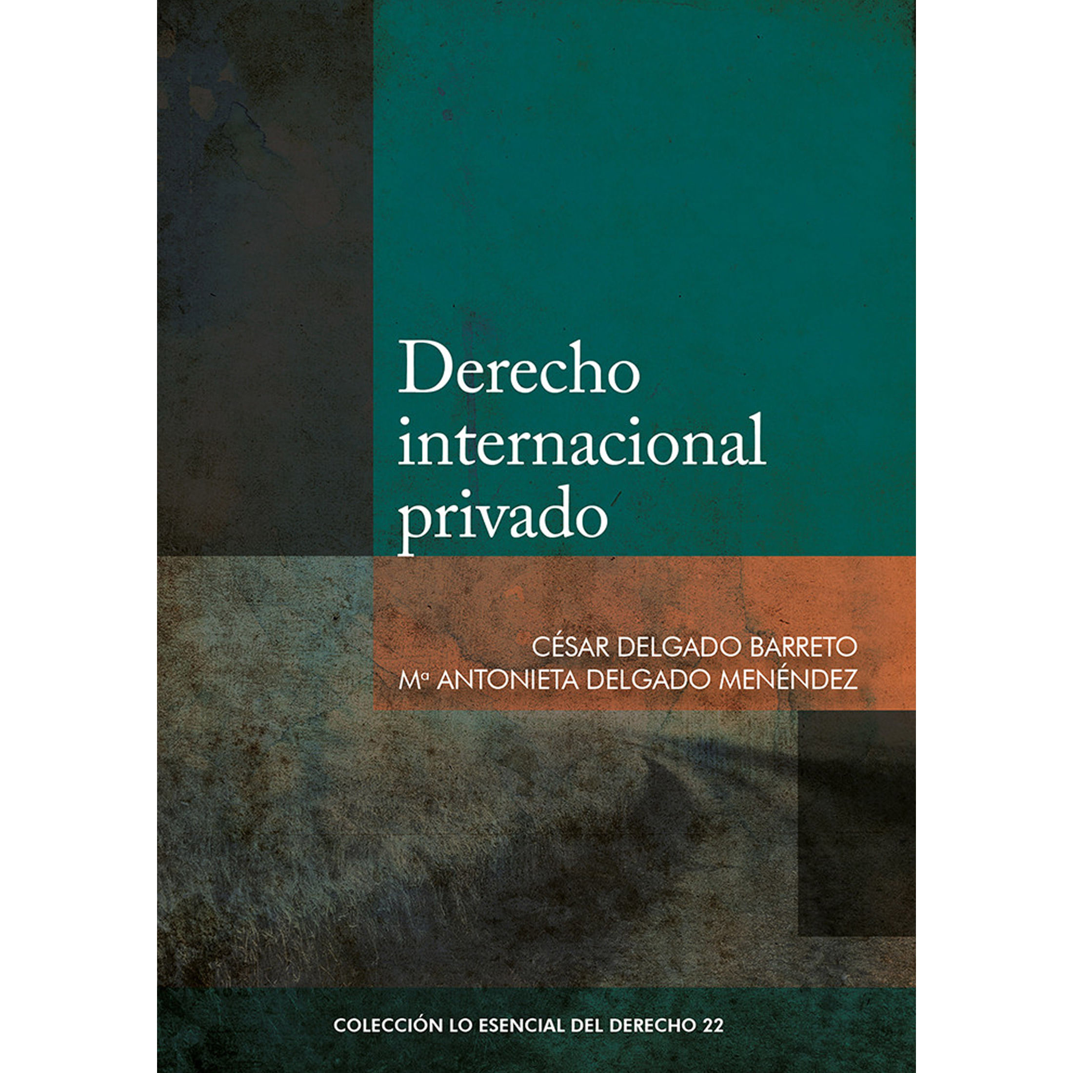 Libro| Derecho Internacional Privado, César Delgado Barreto,Maria ...